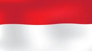 <h6><b>INDONESIA</b></h6>